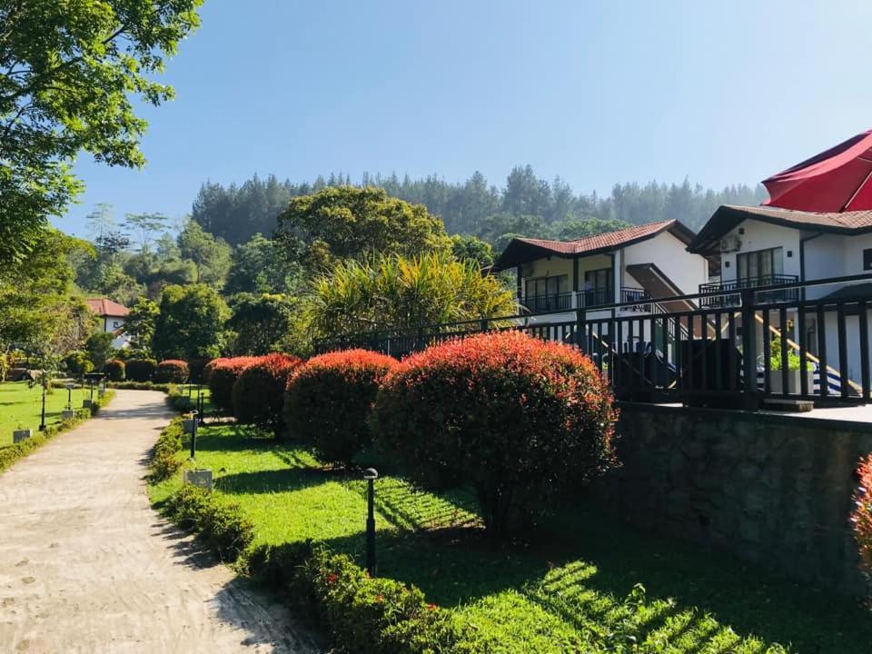 Okwin Resort Kandy Zewnętrze zdjęcie